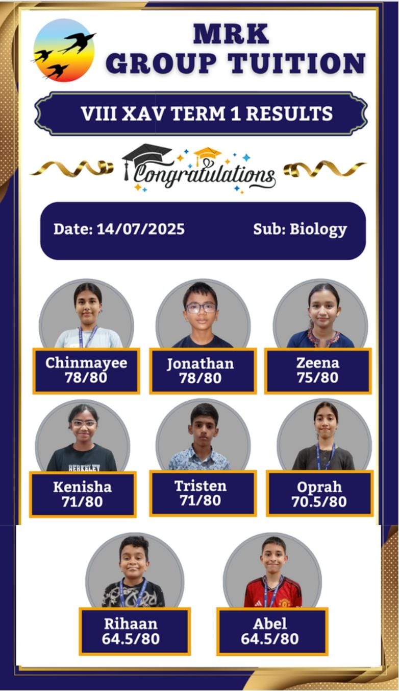 VIII XAV TERM 1 RESULTS